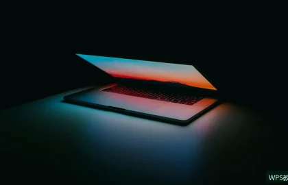 WPS表格条件格式：让异常数据自动标红