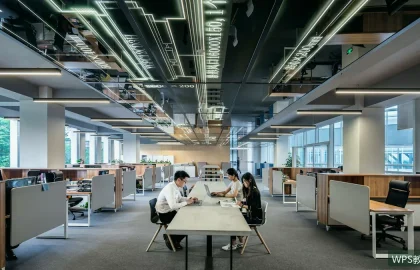 WPS表格数据验证：限制输入让表格更规范